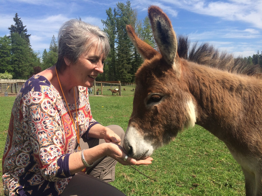 Cheryl feeding donkey